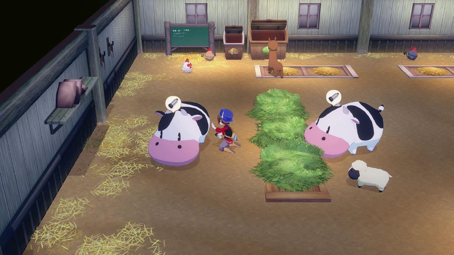 Story Of Seasons: Grand Bazaar - Nintendo Switch 2