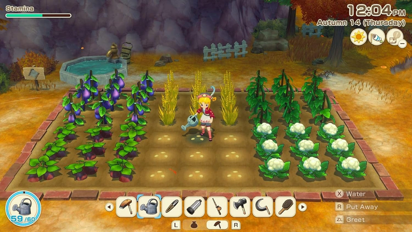 Story Of Seasons: Grand Bazaar - Nintendo Switch 2