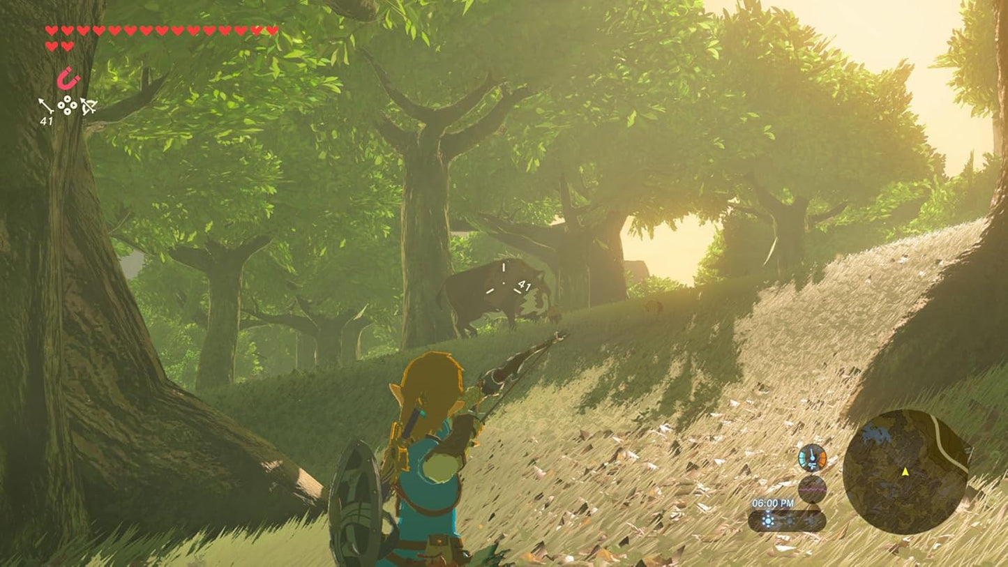 The Legend of Zelda: Breath of the Wild - Nintendo Switch 2