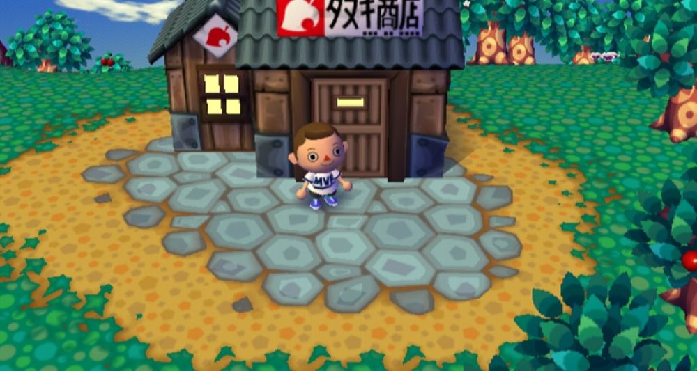 Wii | Animal Crossing: Let's Go to the City – Wii | Life Simulation