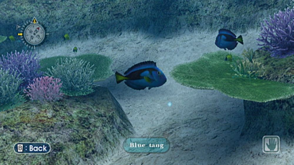 Endless Ocean – Wii Underwater Exploration Game Nintendo Arika