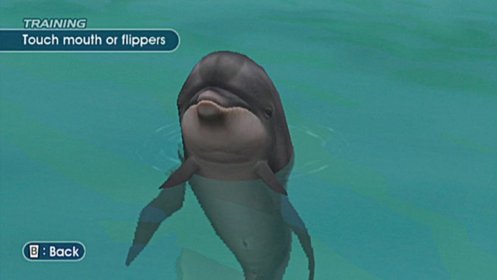 Endless Ocean – Wii Underwater Exploration Game Nintendo Arika