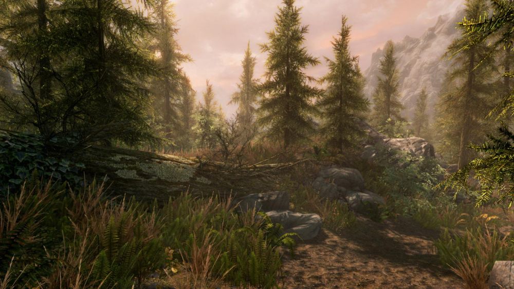 PS4 | The Elder Scrolls V: Skyrim Special Edition – PlayStation 4 | RPG