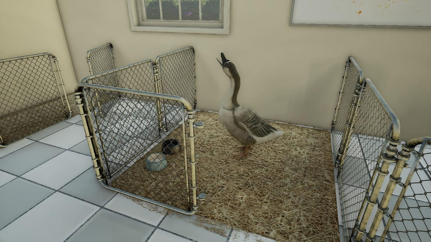 Animal Doctor - PS4