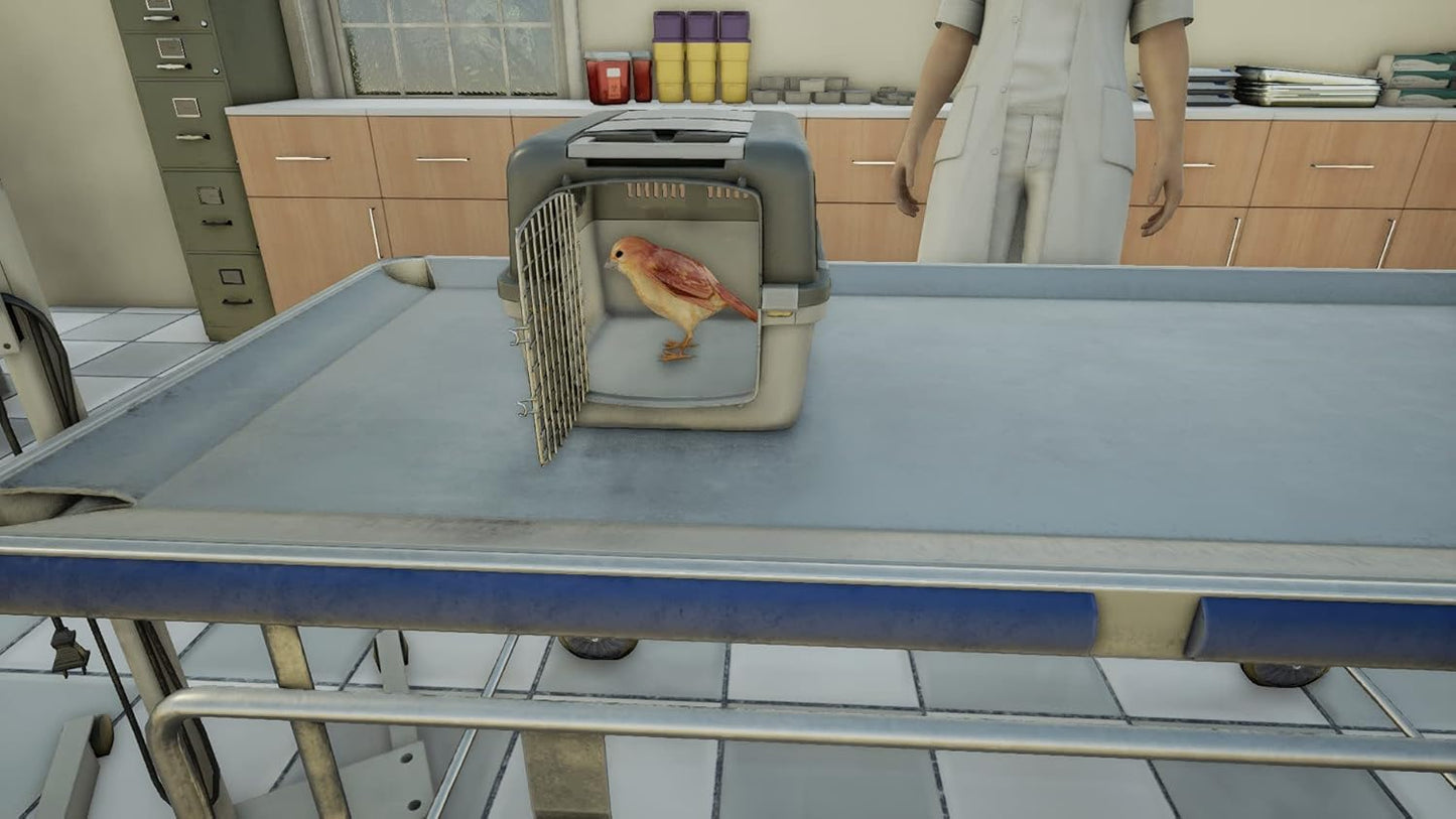 Animal Doctor - PS4
