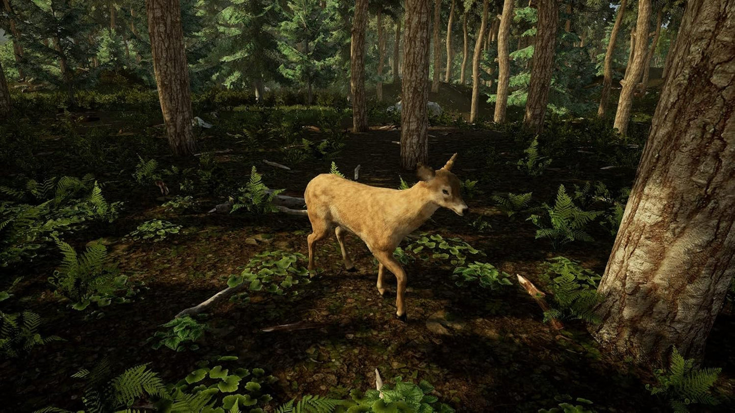 Animal Doctor - PS4